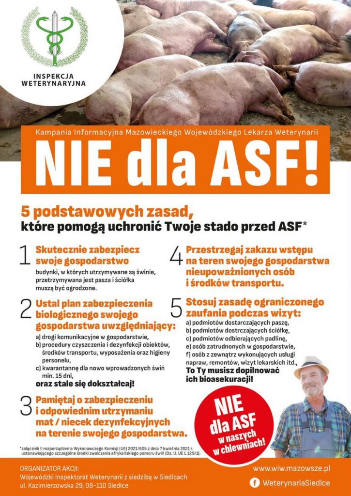 Informacja o zasadach ochrony zwierząt hodowlanych przed ASF.