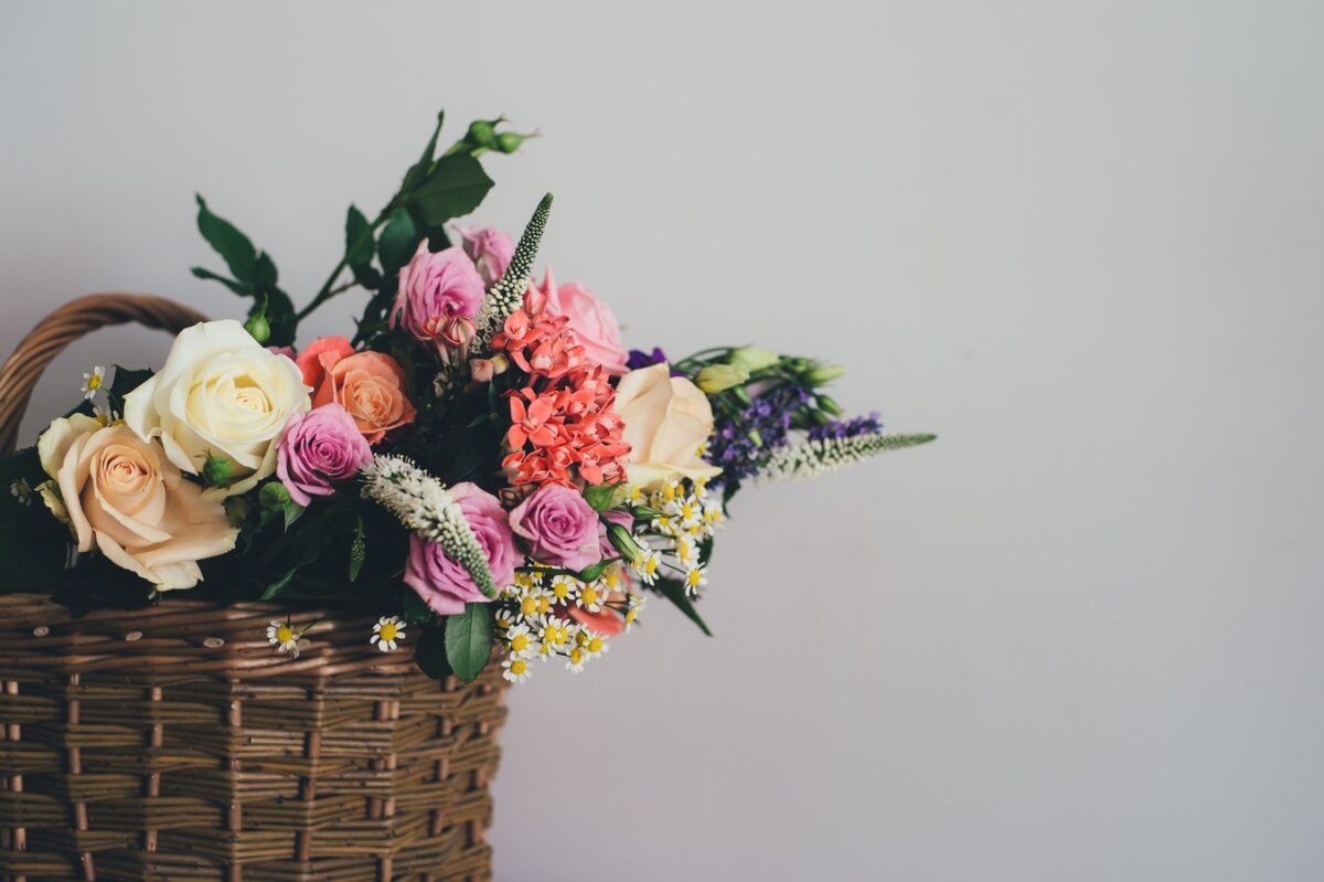 Wolna wysokiej rozdzielczości zdjęcia roślina, kwiat, kwiat, Róża, wiosna, kosz, różowy, flora, botaniczny, sztuka, florystyka, bukiet kwiatów, kwiaty cięte, ikebana, kwiatowy wzór, centralnym, układania kwiatów