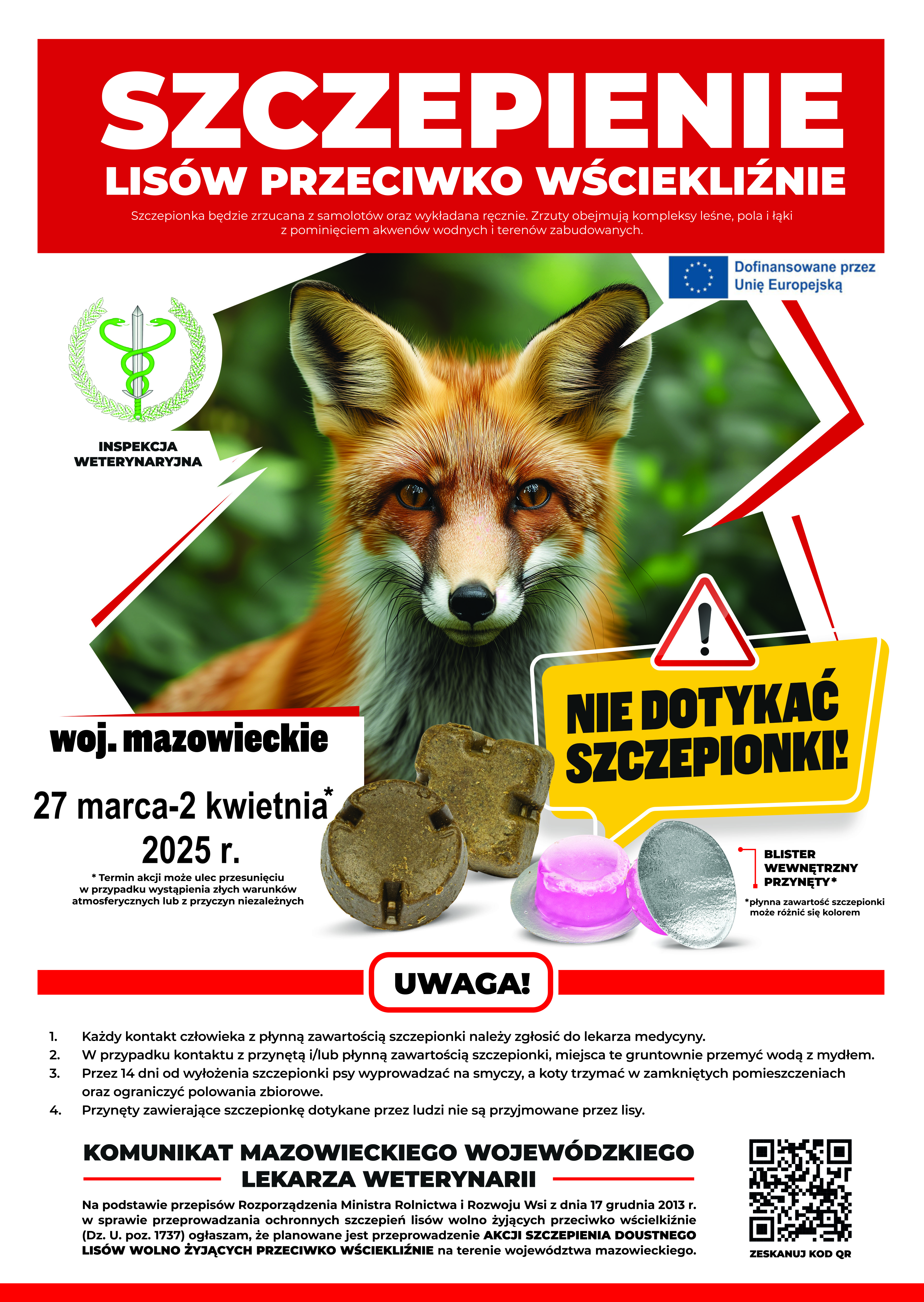 Plakat o szczepieniu przeciw wściekliźnie u lisów, przedstawiający obrazek lisa oraz daty szczepienia: 27 marca - 2 kwietnia 2025 roku. Zawiera także ostrzeżenie, aby nie dotykać szczepionki.