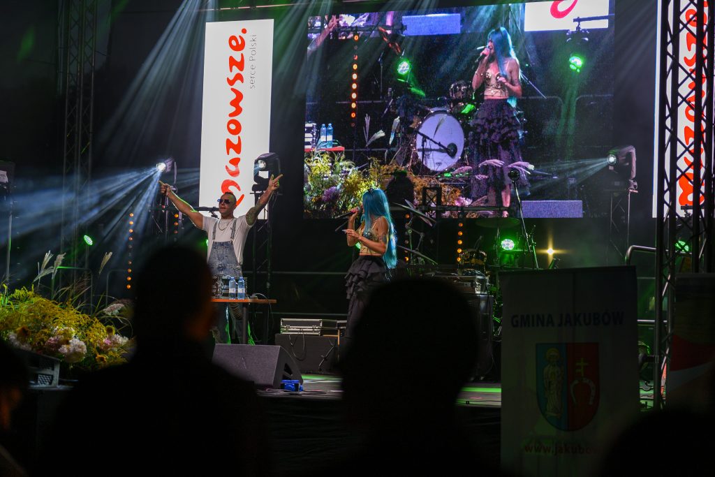 Koncert na scenie z jasnym oświetleniem. Artystka z niebieskimi włosami śpiewa, za nią wyświetlacz. Tło kolorowe, z zielonych i czerwonych świateł.