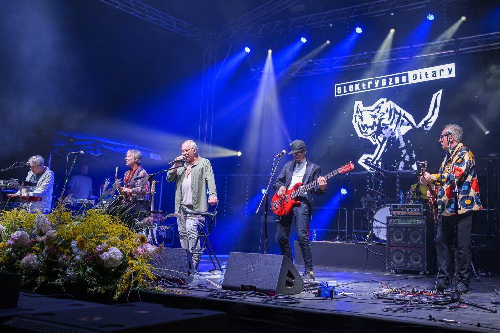 Pięciu muzyków na scenie gra na różnych instrumentach. Tło to ciemne niebo z niebieskimi światłami i logo w formie kota. Na przodzie kwiaty dodają kolorów.