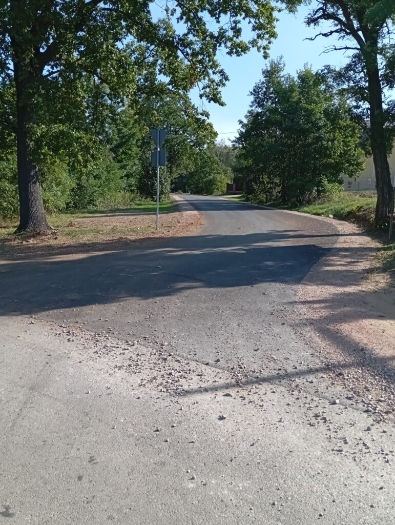 Asfaltowa droga w lesie z zielonymi drzewami po obu stronach. Jasne niebo, po lewej znak drogowy. Kamyki na drodze.