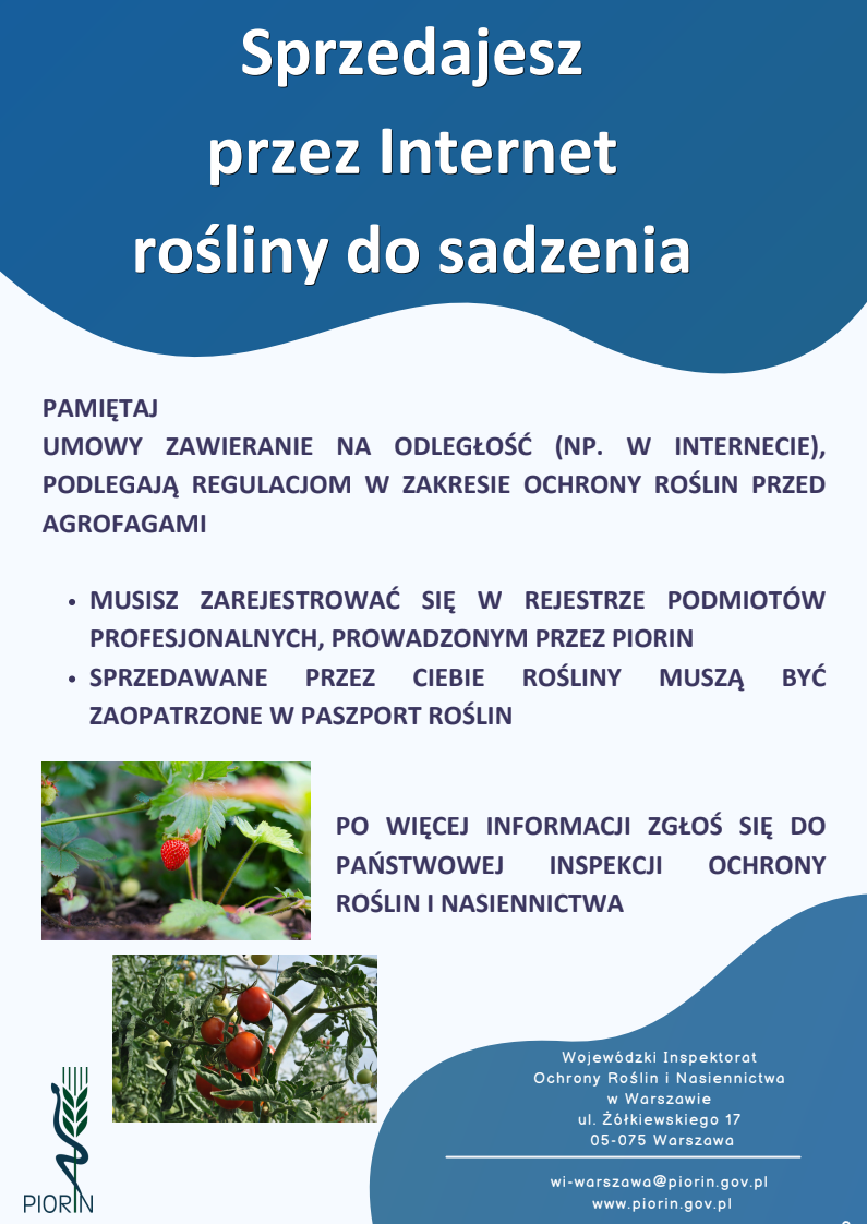 Plakat informuje o sprzedaży roślin przez internet. Tło jest niebieskie z białym tekstem. Widoczne są zdjęcia truskawek i pomidorów.