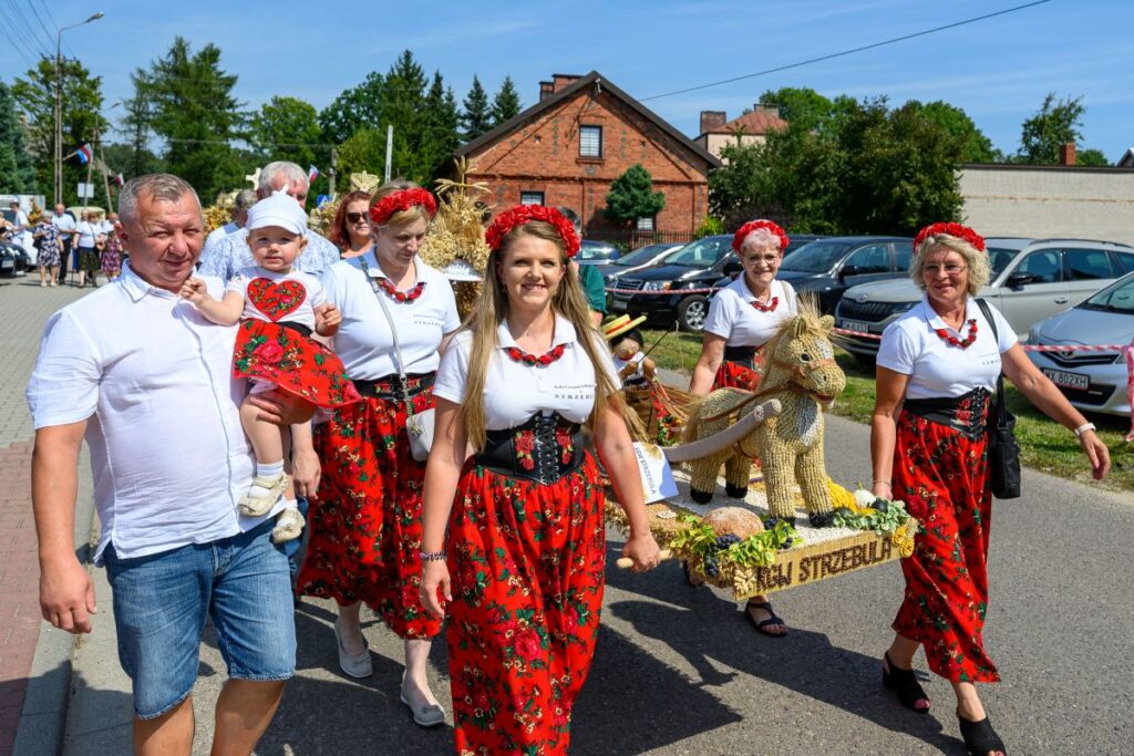Parada z grupą osób w tradycyjnych strojach ludowych, biało-czerwone barwy. W tle zielone drzewa i jasne niebo. Przyciąga uwagę kolorowy korowód z dekoracyjnym zwierzęciem z siana.