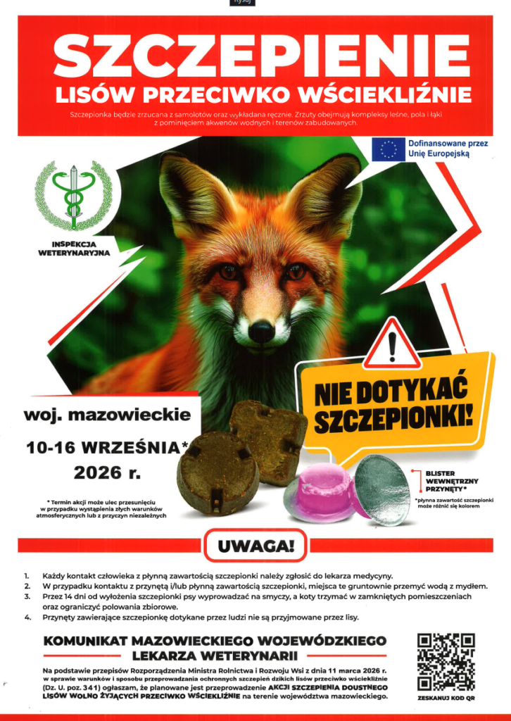 Plakat przedstawia lisa na zielonym tle, z napisem Szczepienie lisów przeciwko wściekliźnie w czerwonej ramce. Zawiera ostrzeżenie Nie dotykać szczepionki! na żółtej tabliczce. Na dole są daty i informacje