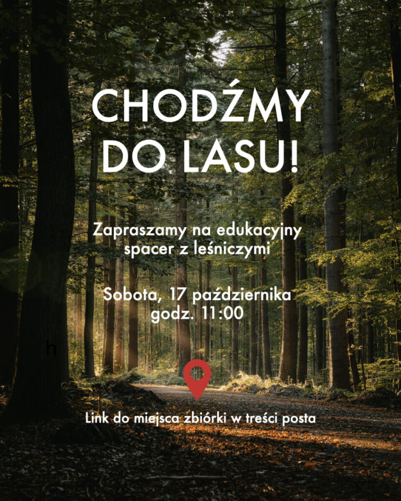 Las oświetlony promieniami słońca. Na środku tekst: CHODŹMY DO LASU!. Data wydarzenia: 17 października, godz. 11:00.